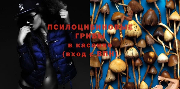 трава Абаза