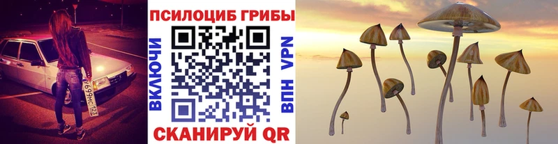 hydra зеркало  Покачи  Галлюциногенные грибы ЛСД 